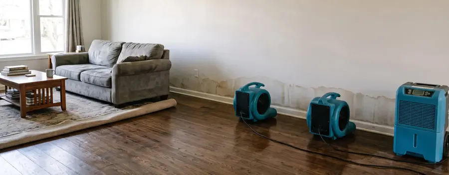 Air movers drying a living room after a water loss