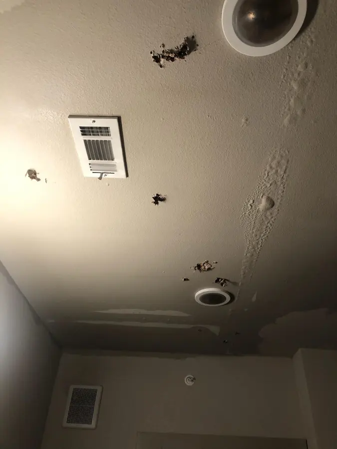 AC condensate overflow water stain on a Bedford, TX ceiling